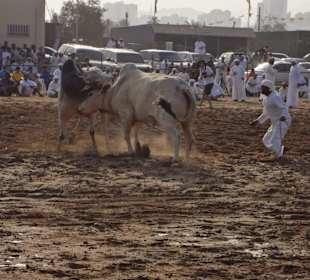 Vereinigte Arabische Emirate