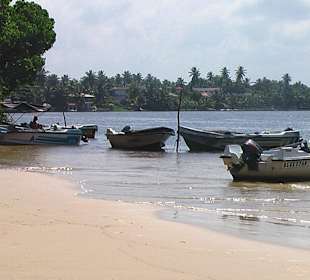 Ausflugsboot z.B. Mangroventour