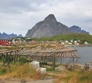 Stockfischgestelle in Reine