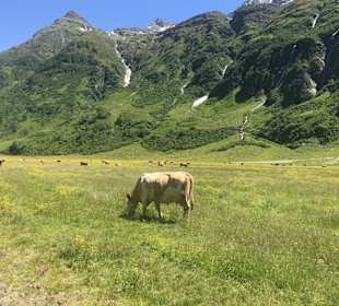 Wandern Prägraten am Großvenediger