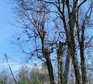 Tierpark Hellabrunn in München