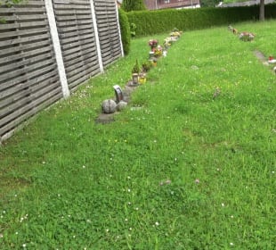 Friedhof Salzstetten