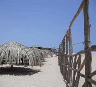 Die Privatschirme am Strand