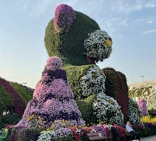 Dubai Miracle Garden