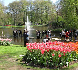 Keukenhof