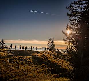 Wandern Balderschwang