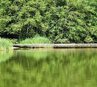 Impressionen vom Echternacher See