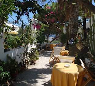 Garten mit Raritäten