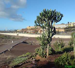 Blick auf das Shoppingcenter Ventura