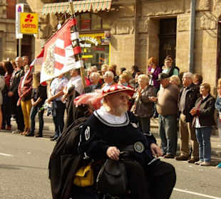 Die Schwanenritter Nürnberg