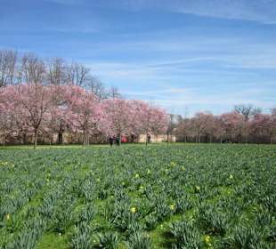Schlossgarten Schwetzingen