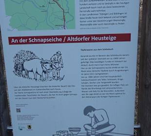 Wanderung rund um den Ochsenweiher