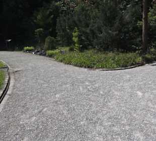 Botanischer Garten der Universität Zürich