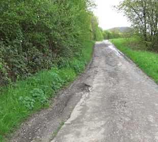 Naturerlebnisweg des NABU-Metzingen
