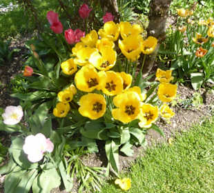 Hofgarten am Dachauer Schloss