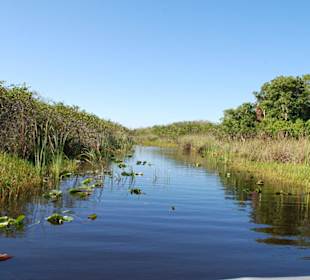 Everglades