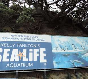 Werbetafel vor dem Aquarium