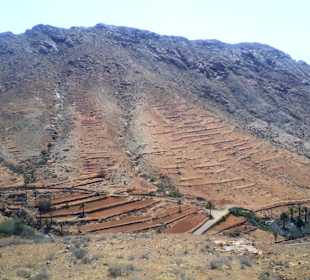 Inselrundfahrt Tagestour