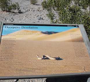 Mesquite Sand Dunes