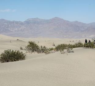 Mesquite Sand Dunes