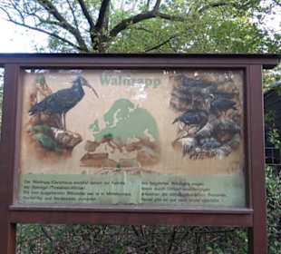 Zoologischer Garten