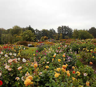 Gartenanlage in Winsen