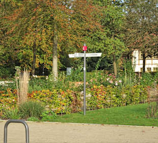 Rundgang durch den Kurpark Bad Iburg