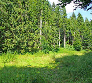 Der Therapeutische Wanderweg