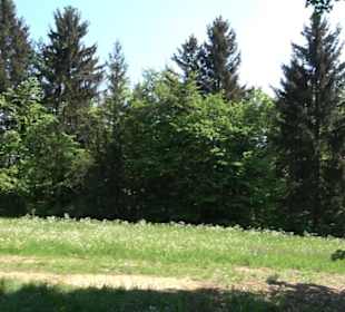 Premiumwanderweg Hochgehschätzt