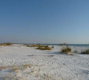Sarasota