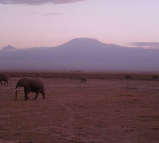 Amboseli Nationalpark