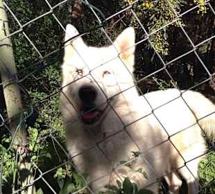 Besuch eines kleines Tierparkes