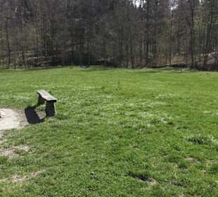 Grillstelle am Markwasen 