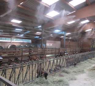 Ferme du Steinbach