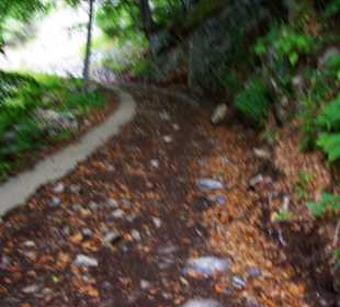 Am Wanderweg entlang