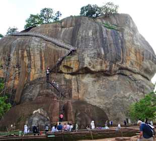Elefantenreiten Sigiriya