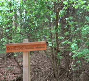 Waldlehrpfad in Tieringen
