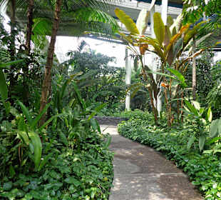 Der Park unter dem Riesenrad