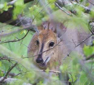 Huch wer ist denn da