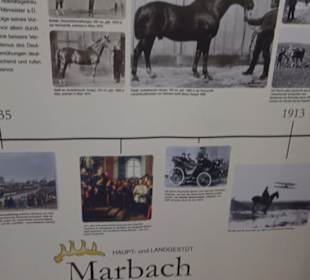 Gestütsmuseum Offenhausen