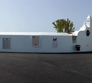 Fundacion Cesar Manrique in Tahiche