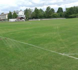 Sportplatz Empfingen