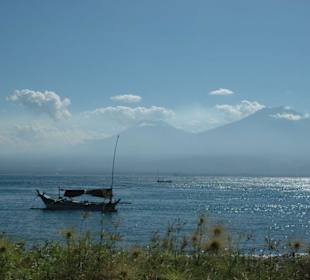 ...im Dunst versunkene Ungeheuer