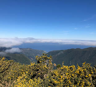 Inselrundfahrt Madeira