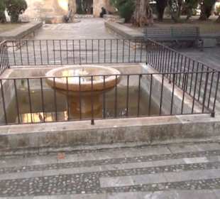 Jardines de Joan March