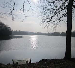 See bei Schloss Konopiste