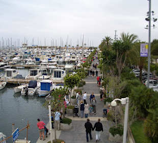 Hafen Alcudia (ca. 2km entfernt)
