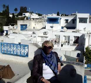 Blick vom Advokatenhaus auf Tunis