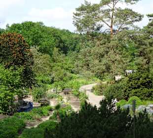 Spaziergang durch den Botanischen Garten Bremen