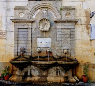 Flieg mein Täublein